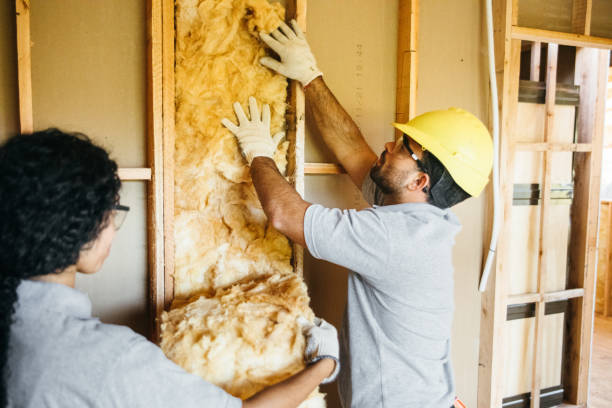 Best Insulation Contractor Near Me  in Hamlet, IN